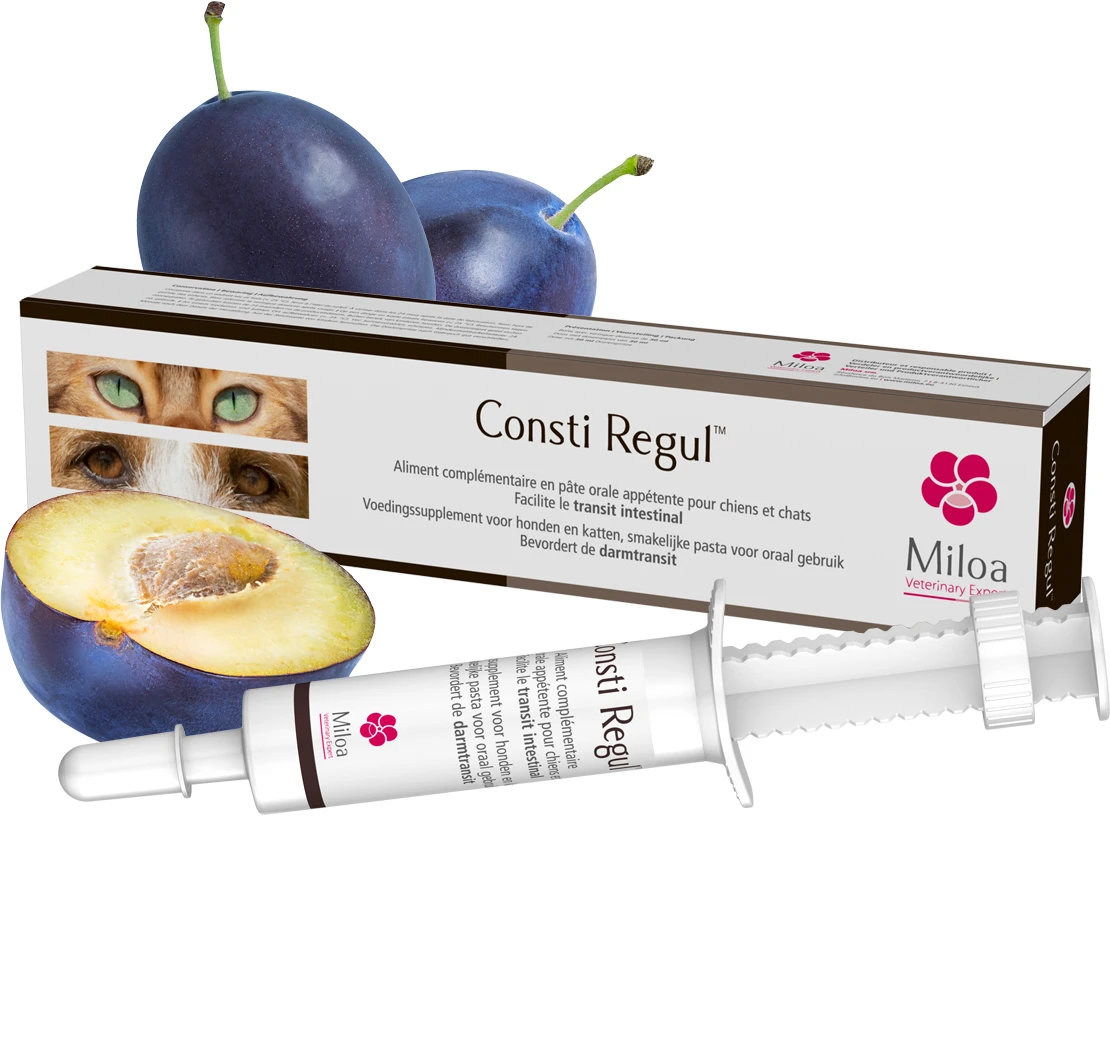 Consti Regul 30ml 3 Consti Regul 30ml – Image 2