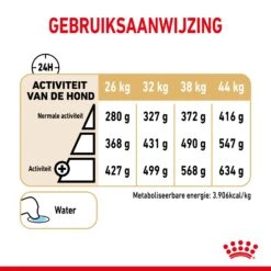 Royal Canin German Shepherd Adult 5+ 3kg -Magasin De Fournitures Pour Animaux Et Chiens d4c1e49cb996e21d7343ed81d9fdd6d8d38452336fd80e8487efc91497698b38 1