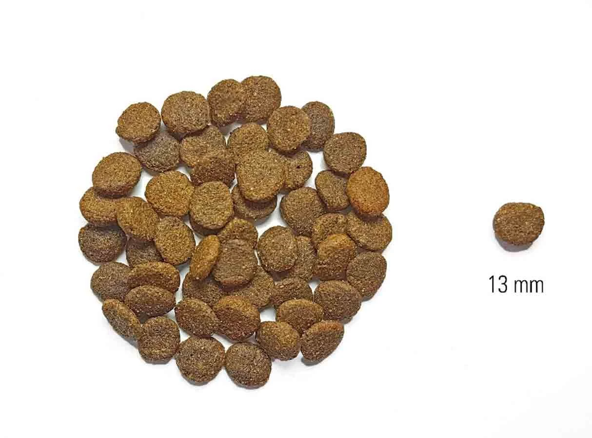 Dog's Love Croquettes Agneau Sans Céréales Et Sans Gluten 12 Kg 5 Dog's Love Croquettes Agneau Sans Céréales Et Sans Gluten 12 Kg – Image 3