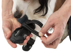 Trixie Chaussures De Protection Walker Active / M-L 2pcs. -Magasin De Fournitures Pour Animaux Et Chiens e08062450bd8a32b408258fb4c31ff7f7447657b0f4f3fa1ecca0f8550d45313 6