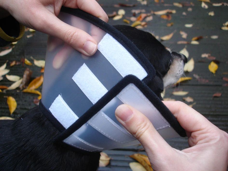 Flamingo Carcan Capo 31,5cm 6 Flamingo Carcan Capo 31,5cm – Image 4