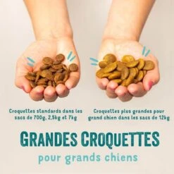Edgard & Cooper Sans Céréales Poulet Frais Chien Adulte 7 Kg -Magasin De Fournitures Pour Animaux Et Chiens edgard cooper croquettes sans c r ales au poulet frais chien adulte 1