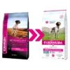 Eukanuba Adult Working & Endurance All Breed Pour Chien 3kg 2 Eukanuba Adult Working & Endurance All Breed Pour Chien 3kg -Magasin De Fournitures Pour Animaux Et Chiens eukanuba daily care working endurance 15kg change 1