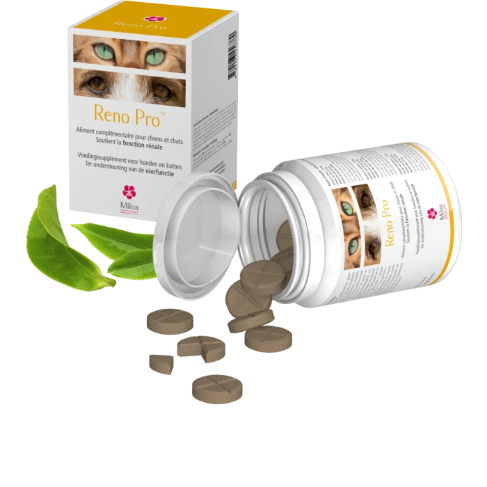 Reno Pro Miloa 30 Comprimés 3 Reno Pro Miloa 30 Comprimés