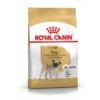 Royal Canin Carlin (Pug) Adult Pour Chien 3kg 1 Royal Canin Carlin (Pug) Adult Pour Chien 3kg -Magasin De Fournitures Pour Animaux Et Chiens fac733a9347eb6ccab4c9944334f4bc79e06dae5f7c3f4b0ed2346d8d303af29