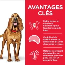 Hill's Science Plan Hill's Science Plan Canine Mature Adult 7+ Light Medium Poulet 14 Kg 7 Hill's Science Plan Hill's Science Plan Canine Mature Adult 7+ Light Medium Poulet 14 Kg -Magasin De Fournitures Pour Animaux Et Chiens hill s science plan canine mature adult 7 light medium poulet 14 kg3