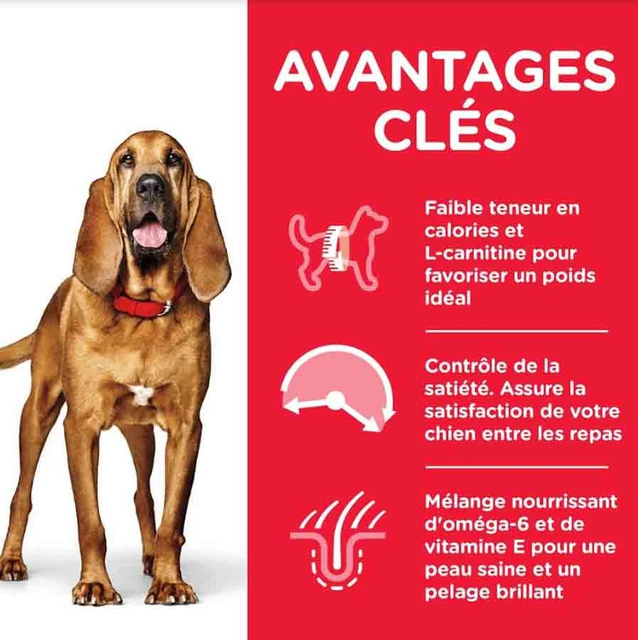 Hill's Science Plan Hill's Science Plan Canine Mature Adult 7+ Light Medium Poulet 14 Kg 4 Hill's Science Plan Hill's Science Plan Canine Mature Adult 7+ Light Medium Poulet 14 Kg – Image 2