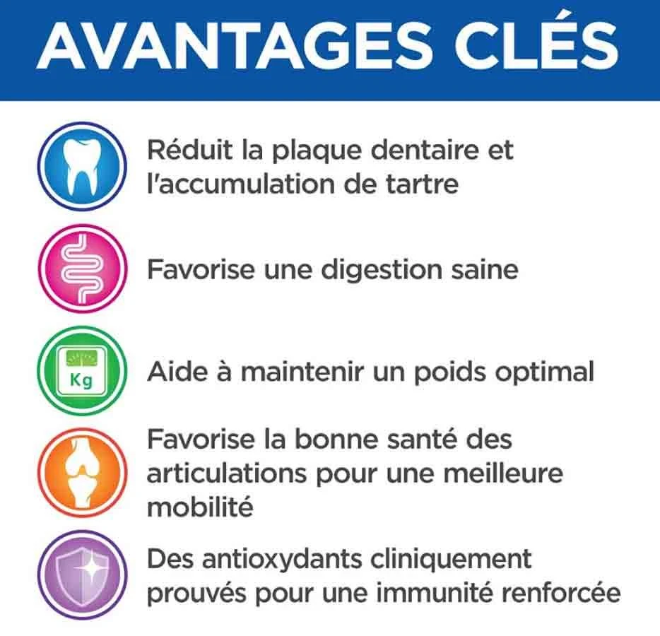 Hill's Science Plan VetEssentials Canine Mature Dental Health Small & Mini Poulet 7 Kg 6 Hill's Science Plan VetEssentials Canine Mature Dental Health Small & Mini Poulet 7 Kg – Image 4