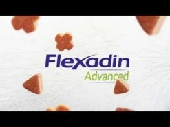 Flexadin Advanced Original 60 Bouchées -Magasin De Fournitures Pour Animaux Et Chiens hqdefault 10 2