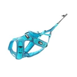 Magasin De Fournitures Pour Animaux Et Chiens 23 Magasin De Fournitures Pour Animaux Et Chiens -Magasin De Fournitures Pour Animaux Et Chiens i dog alm harnais phoenix xxs 2