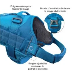 Magasin De Fournitures Pour Animaux Et Chiens 16 Magasin De Fournitures Pour Animaux Et Chiens -Magasin De Fournitures Pour Animaux Et Chiens kurgo harnais rsg townie bleu azur 2 1 1 1