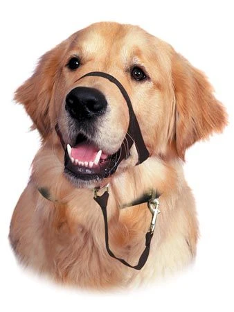 Licol De Dressage Halti Noir T.2 3 Licol De Dressage Halti Noir T.2