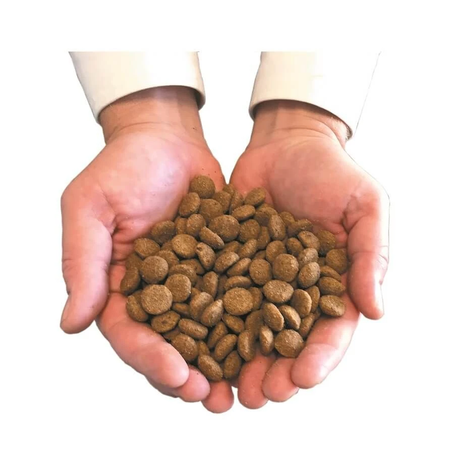 Canichef Croquettes BIO Chien Petite Race 5 Kg 5 Canichef Croquettes BIO Chien Petite Race 5 Kg – Image 3