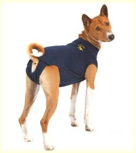 Medical Pet Shirt Chien L 4 Medical Pet Shirt Chien L – Image 2