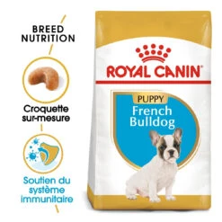 Royal Canin French Bulldog Chiot Pour Chien 10kg -Magasin De Fournitures Pour Animaux Et Chiens royal canin bouledogue francais puppy bouledogue francais junior 1