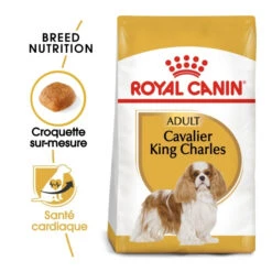 Royal Canin Cavalier King Charles Adult Pour Chien 7,5kg 9 Royal Canin Cavalier King Charles Adult Pour Chien 7,5kg -Magasin De Fournitures Pour Animaux Et Chiens royal canin cavalier king charles adult cavalier king charles 1