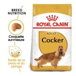 Royal Canin Cocker Adult Pour Chien 12kg -Magasin De Fournitures Pour Animaux Et Chiens royal canin cocker adult cocker 1 1