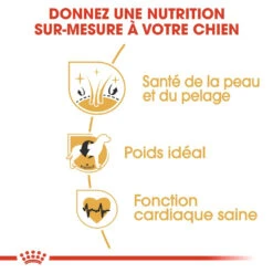 Royal Canin Cocker Adult Pour Chien 12kg -Magasin De Fournitures Pour Animaux Et Chiens royal canin cocker adult cocker 2 1