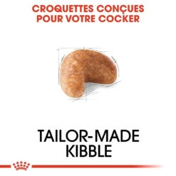 Royal Canin Cocker Adult Pour Chien 12kg -Magasin De Fournitures Pour Animaux Et Chiens royal canin cocker adult cocker 3 1