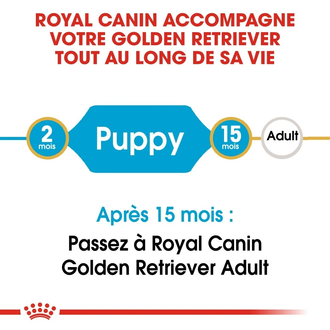 Royal Canin Golden Retriever Chiot Pour Chien 12kg 7 Royal Canin Golden Retriever Chiot Pour Chien 12kg – Image 5