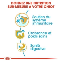 Royal Canin Labrador Retriever Chiot Pour Chien 3kg -Magasin De Fournitures Pour Animaux Et Chiens royal canin labrador retriever puppy labrador retriever junior 2