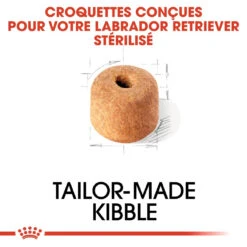 Royal Canin Labrador Retriever Sterilised Adult - 12Kg 11 Royal Canin Labrador Retriever Sterilised Adult - 12Kg -Magasin De Fournitures Pour Animaux Et Chiens royal canin labrador retriever sterilised adult croquettes pour chien labrador retriever sterilised adult 3