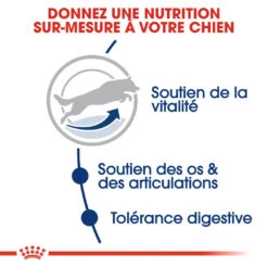 Royal Canin Maxi Adult 5+ Pour Chien 4kg -Magasin De Fournitures Pour Animaux Et Chiens royal canin maxi adult croquettes pour chien maxi adult 3