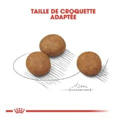 Royal Canin Maxi Chiot Pour Chien 15kg -Magasin De Fournitures Pour Animaux Et Chiens royal canin maxi puppy croquettes pour chiot maxi puppy 3 2