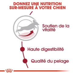 Royal Canin Medium Adult 7+ Pour Chien 15kg -Magasin De Fournitures Pour Animaux Et Chiens royal canin medium adult medium adult 2