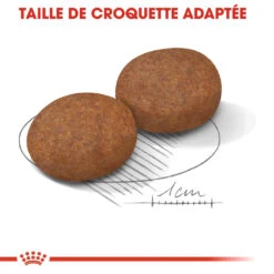 Royal Canin Medium Adult 7+ Pour Chien 15kg -Magasin De Fournitures Pour Animaux Et Chiens royal canin medium adult medium adult 3