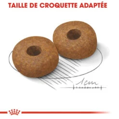 Royal Canin Medium Ageing 10+ Pour Chien 15kg -Magasin De Fournitures Pour Animaux Et Chiens royal canin medium ageing medium ageing 2