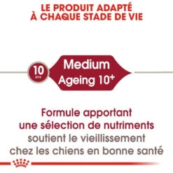 Royal Canin Medium Ageing 10+ Pour Chien 15kg -Magasin De Fournitures Pour Animaux Et Chiens royal canin medium ageing medium ageing 3