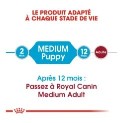 Royal Canin Medium Junior Pour Chien -Magasin De Fournitures Pour Animaux Et Chiens royal canin medium puppy croquettes pour chiot medium puppy 2 1