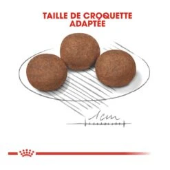 Royal Canin Medium Junior Pour Chien -Magasin De Fournitures Pour Animaux Et Chiens royal canin medium puppy croquettes pour chiot medium puppy 4 1