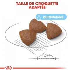 Royal Canin Medium Starter Mother & Babydog - 15Kg 12 Royal Canin Medium Starter Mother & Babydog - 15Kg -Magasin De Fournitures Pour Animaux Et Chiens royal canin medium starter medium starter 2