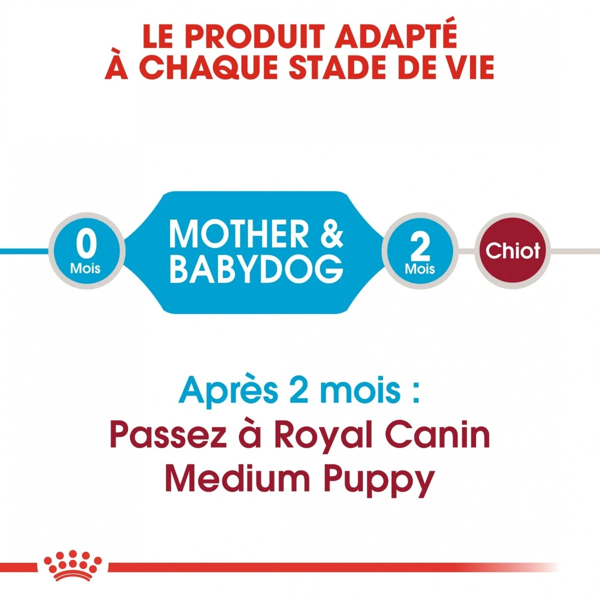 Royal Canin Medium Starter Mother & Babydog - 15Kg 8 Royal Canin Medium Starter Mother & Babydog - 15Kg – Image 6
