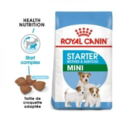 Royal Canin Mini Starter Mother & Babydog - 8Kg 10 Royal Canin Mini Starter Mother & Babydog - 8Kg -Magasin De Fournitures Pour Animaux Et Chiens royal canin mini starter mini starter 1