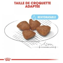 Royal Canin Mini Starter Mother & Babydog - 8Kg 11 Royal Canin Mini Starter Mother & Babydog - 8Kg -Magasin De Fournitures Pour Animaux Et Chiens royal canin mini starter mini starter 2