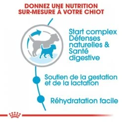 Royal Canin Mini Starter Mother & Babydog - 8Kg 12 Royal Canin Mini Starter Mother & Babydog - 8Kg -Magasin De Fournitures Pour Animaux Et Chiens royal canin mini starter mini starter 3