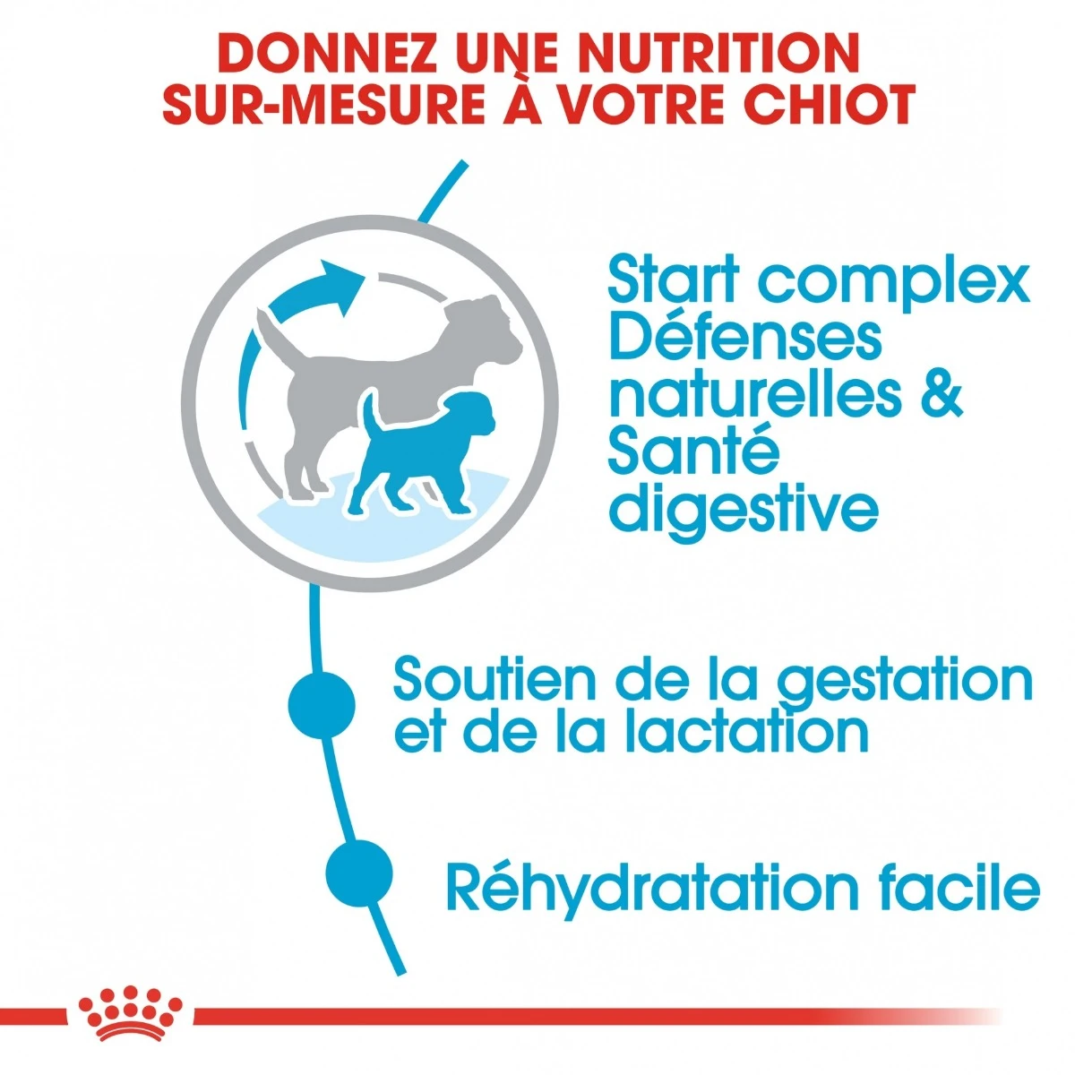 Royal Canin Mini Starter Mother & Babydog - 8Kg 7 Royal Canin Mini Starter Mother & Babydog - 8Kg – Image 5
