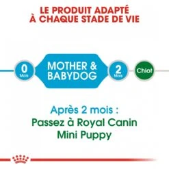 Royal Canin Mini Starter Mother & Babydog - 8Kg 13 Royal Canin Mini Starter Mother & Babydog - 8Kg -Magasin De Fournitures Pour Animaux Et Chiens royal canin mini starter mini starter 4