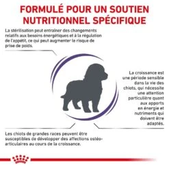 Royal Canin Vet Care Neutered Junior Large Dog 4 Kg 12 Royal Canin Vet Care Neutered Junior Large Dog 4 Kg -Magasin De Fournitures Pour Animaux Et Chiens royal canin vet care neutered junior large dog 4 kg 2