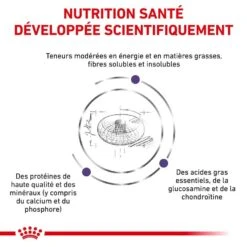 Royal Canin Vet Care Neutered Junior Large Dog 4 Kg 13 Royal Canin Vet Care Neutered Junior Large Dog 4 Kg -Magasin De Fournitures Pour Animaux Et Chiens royal canin vet care neutered junior large dog 4 kg 3