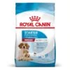 Royal Canin Medium Starter Mother And Babydog 4 Kg