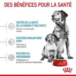 Royal Canin Medium Starter Mother And Babydog 4 Kg -Magasin De Fournitures Pour Animaux Et Chiens royal canin medium starter mother and babydog 3