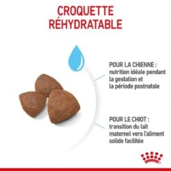 Royal Canin Medium Starter Mother And Babydog 4 Kg -Magasin De Fournitures Pour Animaux Et Chiens royal canin medium starter mother and babydog 4