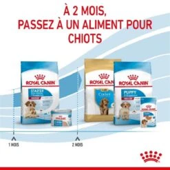 Royal Canin Medium Starter Mother And Babydog 4 Kg -Magasin De Fournitures Pour Animaux Et Chiens royal canin medium starter mother and babydog 5