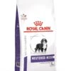 Royal Canin Vet Care Neutered Junior Large Dog 4 Kg 2 Royal Canin Vet Care Neutered Junior Large Dog 4 Kg -Magasin De Fournitures Pour Animaux Et Chiens royal canin veterinary neutered junior large dog
