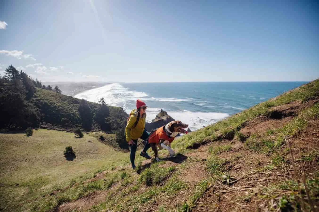 Ruffwear Overcoat Fuse Harness Jacket Orange S 11 Ruffwear Overcoat Fuse Harness Jacket Orange S – Image 9