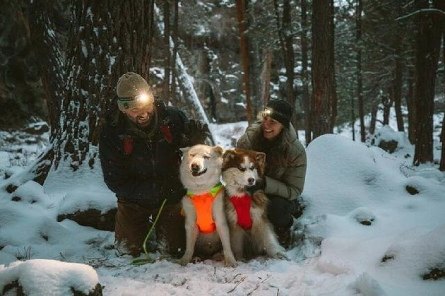 Ruffwear Veste Haute Visibilité Lumenglow Orange S 7 Ruffwear Veste Haute Visibilité Lumenglow Orange S – Image 5